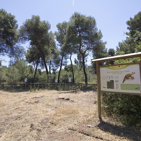 Villaggio Catalano Castellaneta Marina Eksteriør billede